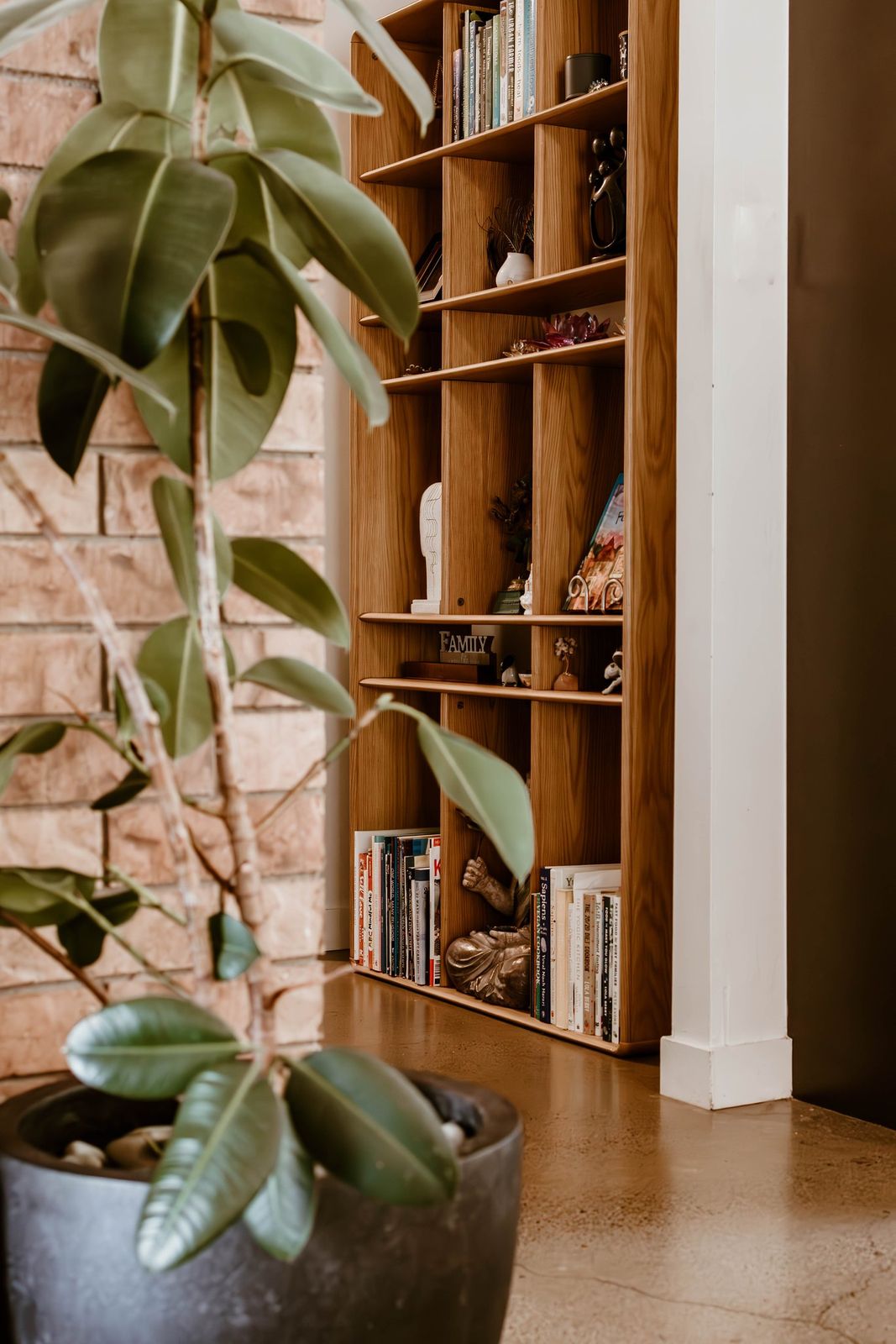Shelves of books in the practice, with a rubber plant in the foreground